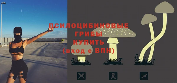 а пвп мука Армянск