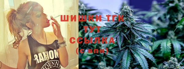 спиды Аркадак