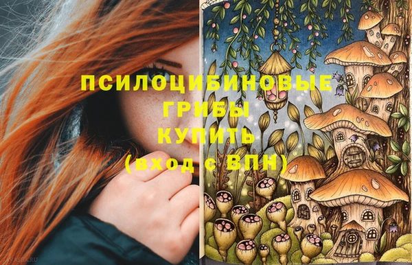 а пвп мука Армянск