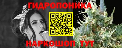 индика Кунгур
