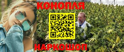 индика Кунгур
