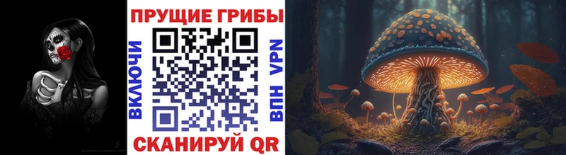 Псилоцибиновые грибы MAGIC MUSHROOMS купить Курчалой