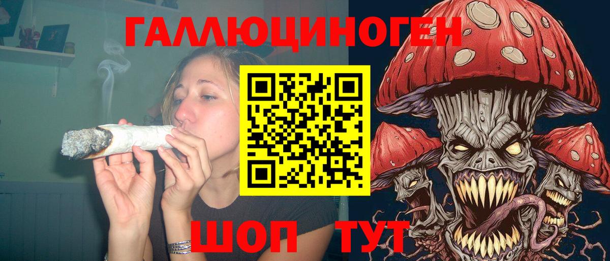 Галлюциногенные грибы Psilocybe  Вход с VPN  купить наркотик  Курчалой 